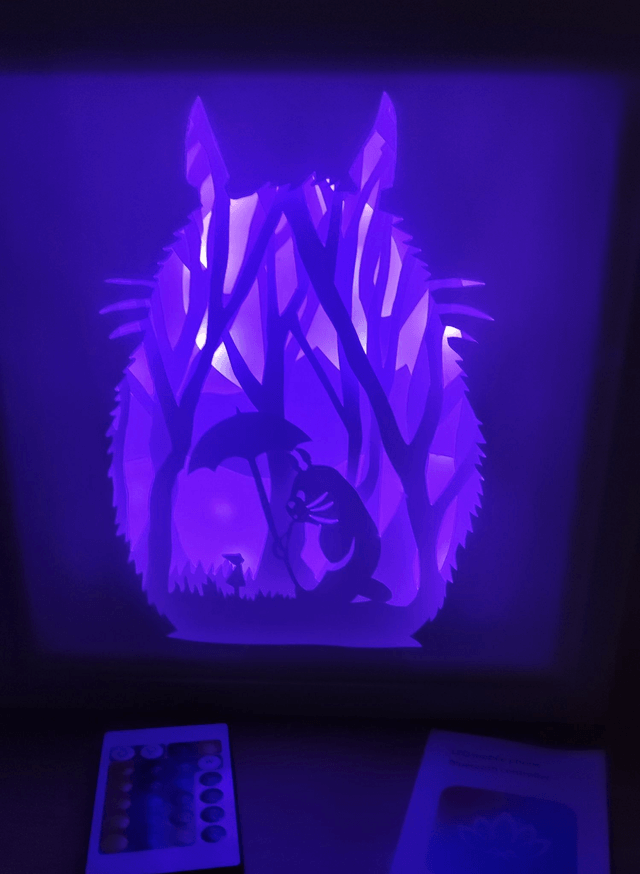 Lightbox inspirée de Totoro